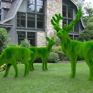 May include: Three green topiary deer sculptures in a grassy garden. The deer are made of green foliage and are standing on a green lawn. The deer are in front of a house with large windows.