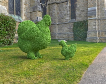 May include: Two topiary sculptures of chickens, one large and one small, are on a grassy lawn in front of a stone building.