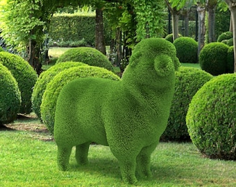 May include: A green topiary sculpture of a sheep stands in a manicured garden. The sheep is made of dense, green foliage, with detailed features. The background includes rounded bushes, trees, and a grassy lawn, creating a serene outdoor scene.