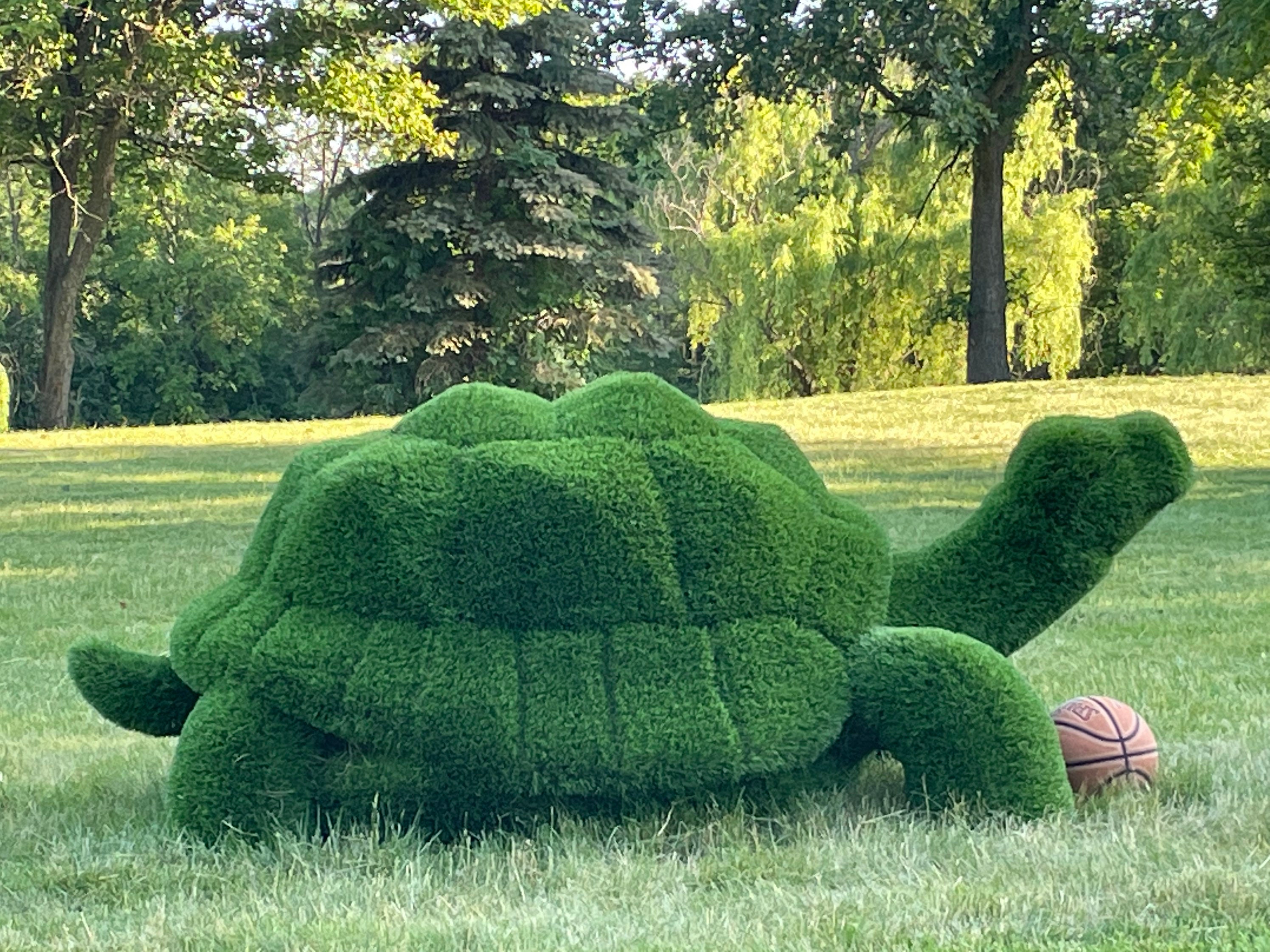 2 Decorazioni Da Giardino In Metallo A Forma Di Tartaruga, Sagome Silhouette Per Esterno, Regalo Per Amanti Della Natura