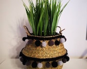 Small Handwoven Belly Basket foldable for plants or storage scandi, boho