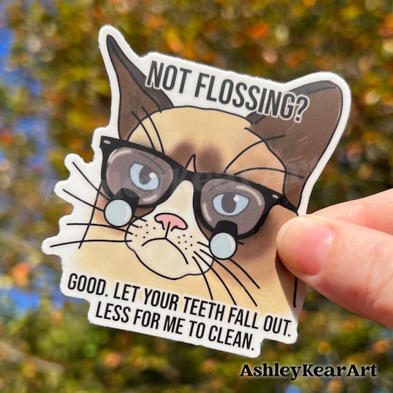 Dental sticker, Funny dental sticker, cute dental sticker, dental humor sticker, cute dental gift, Rdh sticker, dental hygienist sticker