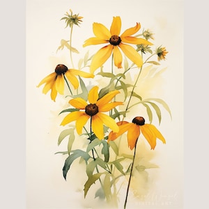 Czarnooka Susan akwarela. Czarnooka Susan sztuka ścienna. Rudbeckia. Rudbeckia sztuka ścienna. Kwiaty rudbeckia. Sztuka kuchenna. Wystrój domu.