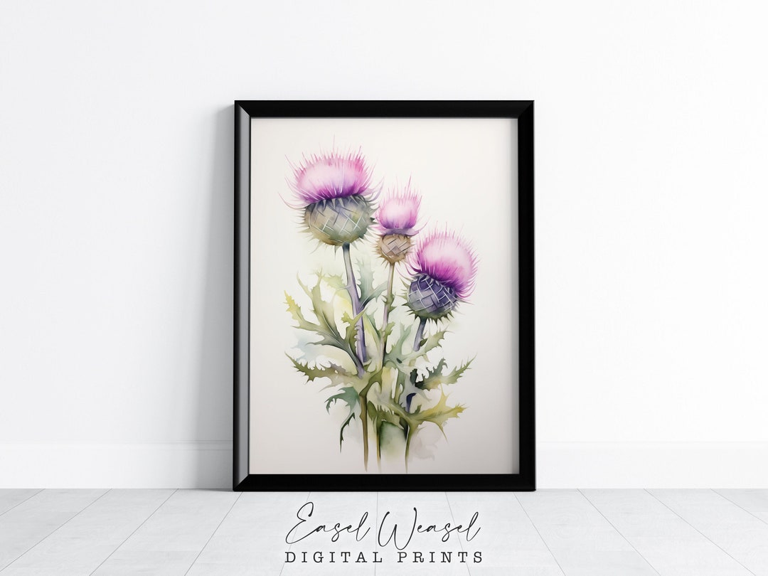 Thistle Watercolor Art Print. Thistle Picture. Thistle Home Decor