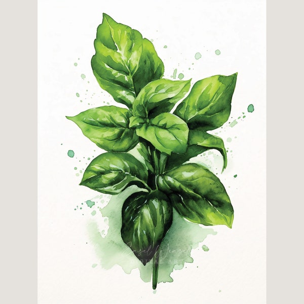 Fresh Basil Watercolor Art Print. Basil Kitchen Art. Basil Home Decor. Basic Botanical Art. Basil Painting. Ocimum. Bazil. Italian herb art.