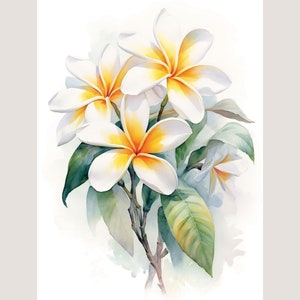 Impression d'art aquarelle Plumeria. Décoration murale en plumeria. Art de cuisine en plumeria. Décoration d'intérieur en plumeria. Art mural en plumeria. Frangipanier. Art frangipanier