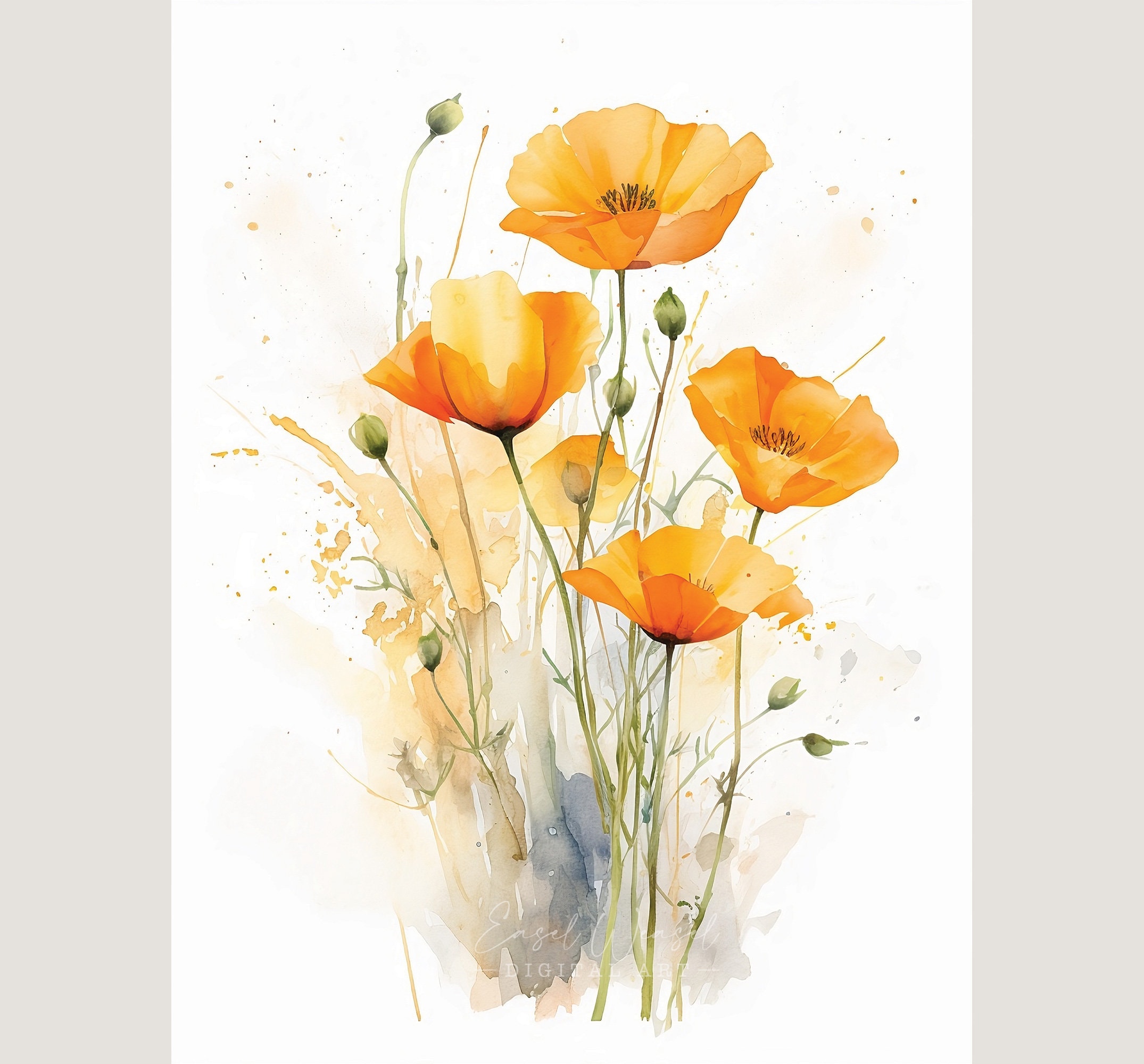 California Poppy Watercolor Art Print. California Poppy Home