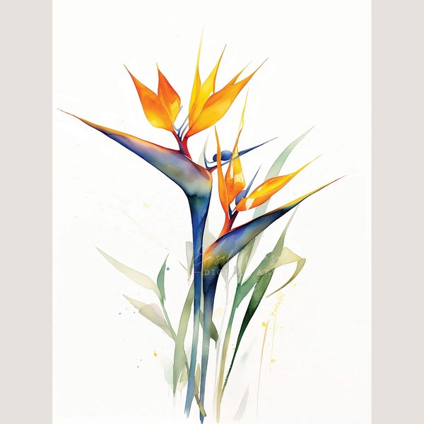 Bird of Paradise Watercolor Art Print. Bird of Paradise Wall Art Bird of Paradise Kitchen Decor. Bird of Paradise Painting. Bird of Paradice