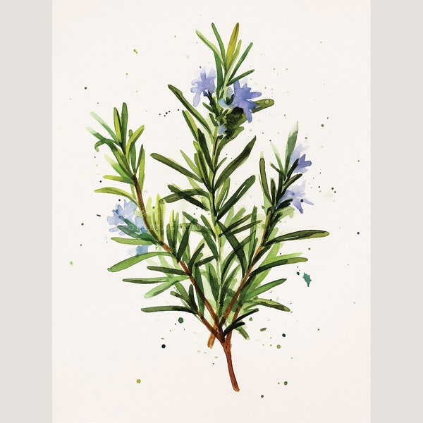 Rosemary Watercolor Art Print. Rosemary Kitchen Art. Rosemary Home Decor. Herbal Art. Italian herb decor. Wall decor. Salvia rosmarinus art.