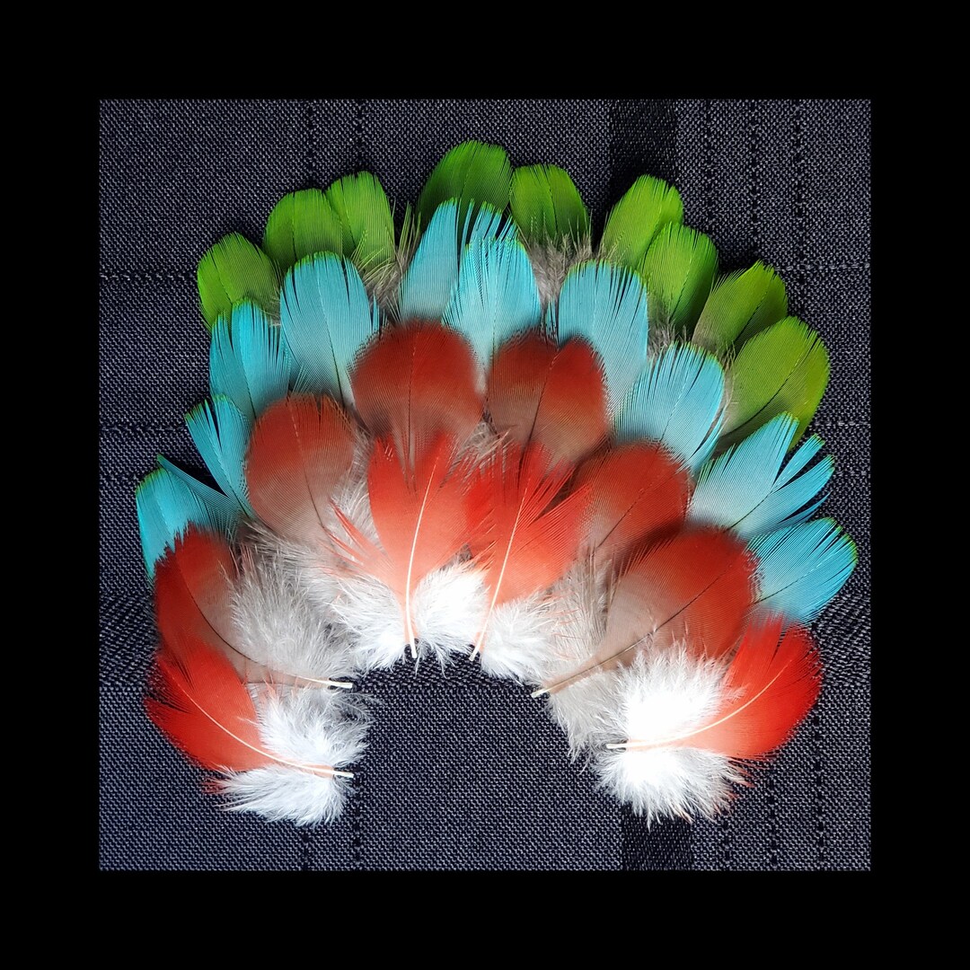 30 Count Macaw Feathers, Small Parrot Feathers, Multi-colored, Red ...