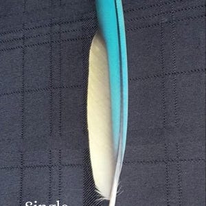 Puede incluir: Una sola pluma con una combinaci&oacute;n de colores turquesa y crema. La parte superior es turquesa, pasando a crema y blanco en la base. El texto "Single (example)" es visible.