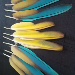 Puede incluir: Una taza de cer&aacute;mica blanca con un asa negra y el texto "But First, Coffee" en negro y negrita. La taza est&aacute; sobre una superficie blanca. La taza mide aproximadamente 10 cm de alto.