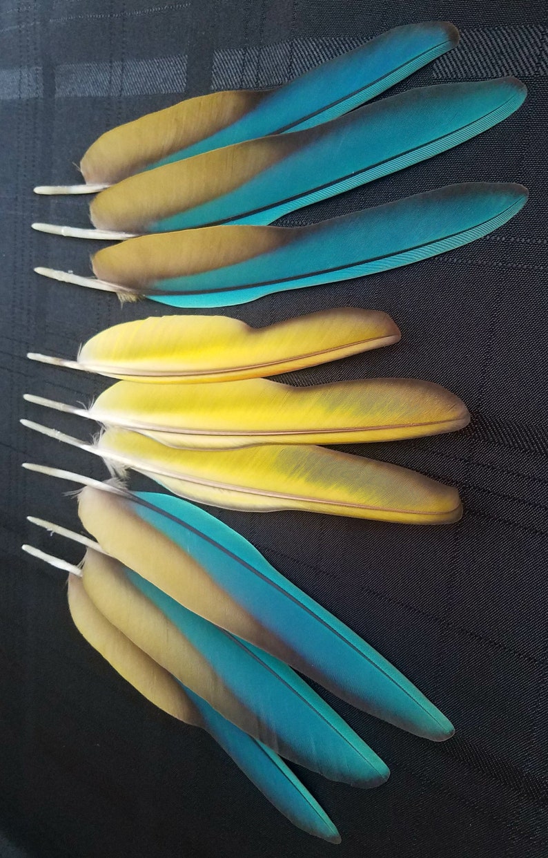 Puede incluir: Una taza de cer&aacute;mica blanca con un asa negra y el texto "But First, Coffee" en negro y negrita. La taza est&aacute; sobre una superficie blanca. La taza mide aproximadamente 10 cm de alto.