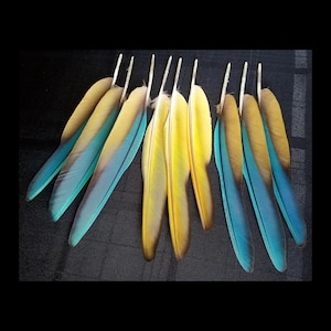 Puede incluir: Un juego de tres tazas de cer&aacute;mica con un acabado mate moteado en crema, marr&oacute;n claro y marr&oacute;n oscuro. Cada taza tiene un dise&ntilde;o simple y minimalista, ideal para caf&eacute; o t&eacute;.