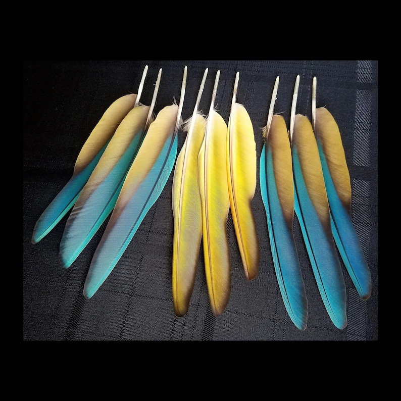 Puede incluir: Un juego de tres tazas de cer&aacute;mica con un acabado mate moteado en crema, marr&oacute;n claro y marr&oacute;n oscuro. Cada taza tiene un dise&ntilde;o simple y minimalista, ideal para caf&eacute; o t&eacute;.