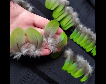 GREEN MACAW Feathers, SMALL Parrot Feathers, Rare Exotic Feathers, Real Bird Feathers, Ethically Sourced, Naturally Molted, Cruelty Free