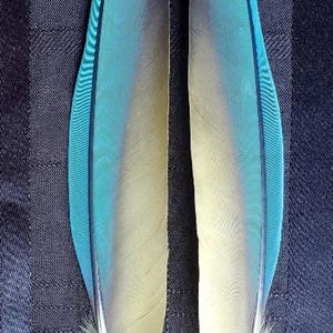 Puede incluir: Un juego de tres tazas de cer&aacute;mica con un acabado mate moteado. Las tazas son en tonos crema, gris claro y gris oscuro. Cada taza tiene un dise&ntilde;o simple y minimalista y un asa redondeada.