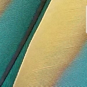 Puede incluir: Imagen abstracta de una superficie texturizada con l&iacute;neas diagonales en tonos turquesa, dorado y negro. Las l&iacute;neas crean un patr&oacute;n, sugiriendo una tela o un elemento decorativo.