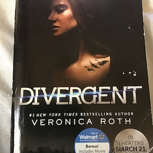 Modern YA Horror, Fantasy, Supernatural-Divergent, Nicholas Flamel, Icefire Series-Assortment Large Paperbacks Novels