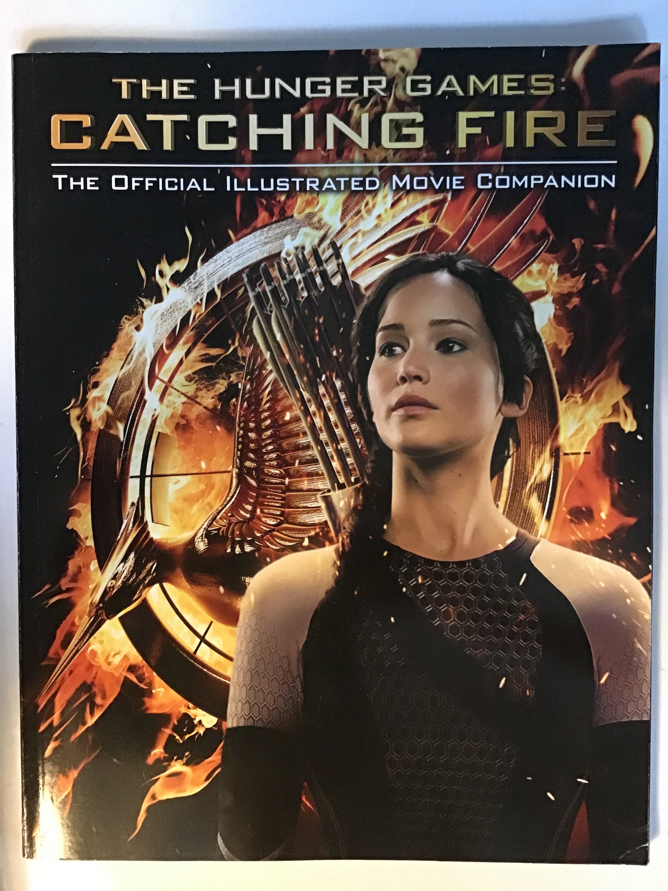 Rereading Suzanne Collins The Hunger Games Trilogy