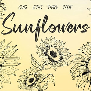 Pacote SVG de girassol, clipart de girassóis PNG, arte de pintura de flores do sol, pacote de girassóis, arquivo cortado cricut, silhueta de flores, arquivos vetoriais