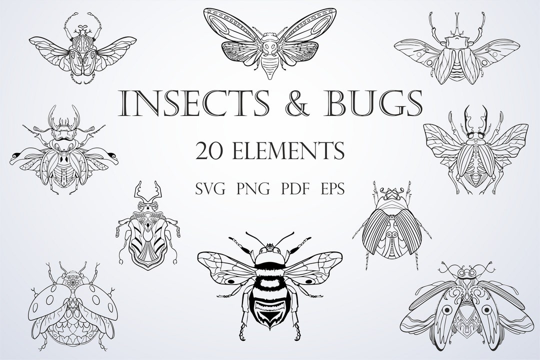 Insects SVG Bundle, Bug SVG, Beetle Clipart PNG, Bee Print Eps, 20 ...