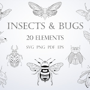 Insects SVG Bundle, Bug SVG, Beetle Clipart PNG, Bee Print Eps, 20 Files For Cricut, Dragonfly Set Of Svg, Fly Silhouette, Instant Download