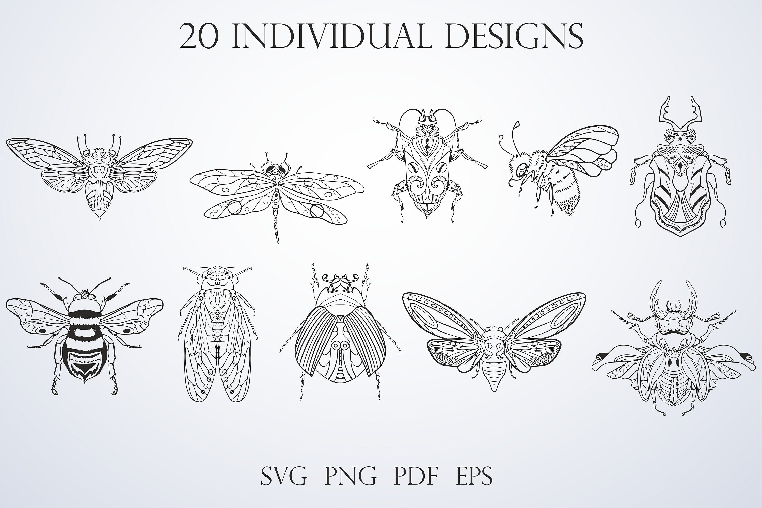 Insects Racing Svg Insects SVG Bundle, Bug SVG, Beetle Clipart PNG, Bee Print Eps, 20 ...