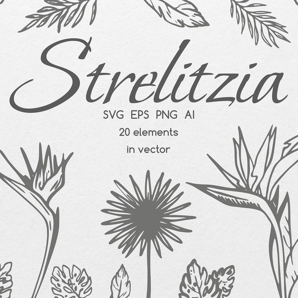 Tropical Flower SVG, Strelitzia Bouquet Svg, Bird Of Paradise SVG, Tropical Leaves Clipart, Tropical Bouquet Clipart, Hand Drawn Flowers