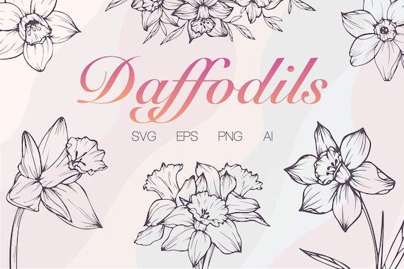 Daffodil Flower SVG Art, Hand Painting Narcissus PNG Bundle, Wedding Flowers Clipart, Minimalist Flowers Set, Simple Birth Flower Svg