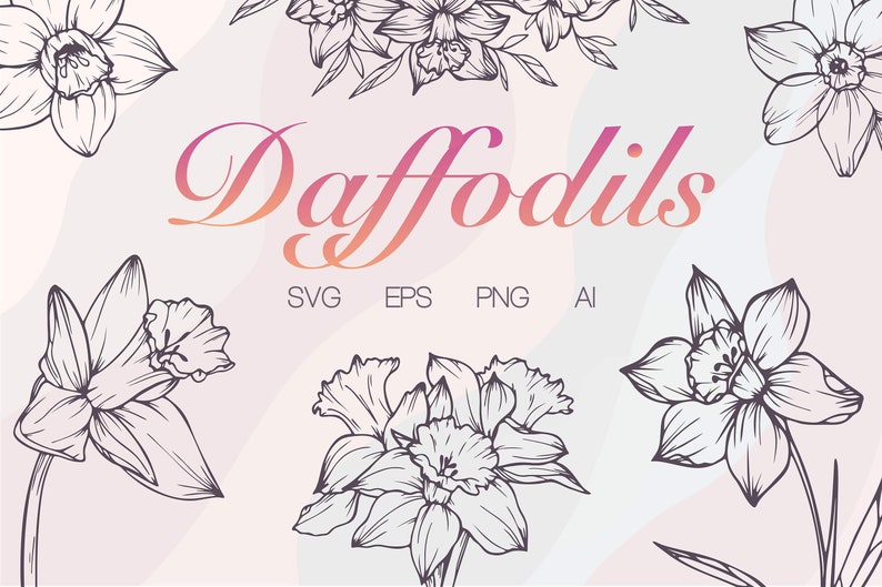 May include: A set of black and white line drawings of daffodils. The drawings are in a simple, elegant style and would be perfect for use in a variety of projects, such as greeting cards, invitations, or scrapbooking.