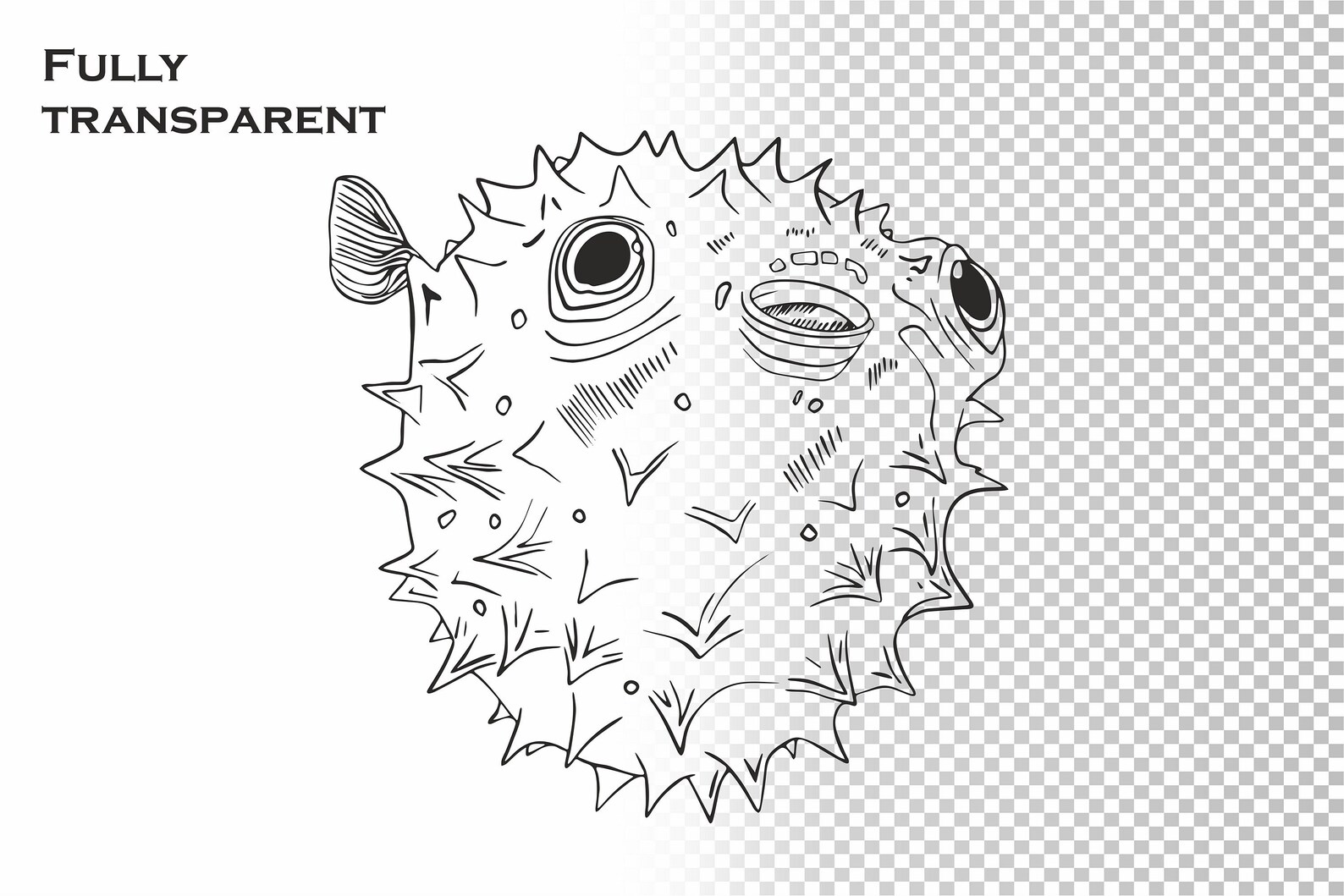 Puffer Fish SVG, Ocean Animals SVG, Startled Spiny Puffed Pufferfish ...