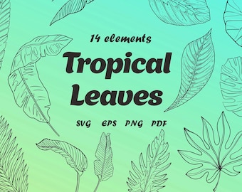 Feuilles tropicales SVG Bundle, plantes tropicales PNG Clipart, SVG de feuilles tropicales, palmier et Jungle Bundle, Monstera Clipart, ensemble de Svg, Silhouette