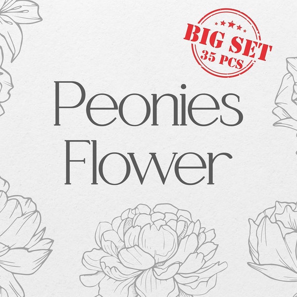 Peony Painting SVG Clipart | Peonies Line Art SVG | Peony Flower Hand Drawn Line Art | Wedding Flowers Sillouhette | Transparent Background
