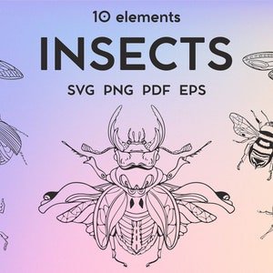 Bugs SVG Bundle, Insect SVG Clipart, Bug Vector Art, Vector Bugs For Cricut, PNG Image Of Bugs Silhouette, Svg Line File, Direct Download
