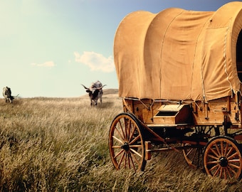 Bedeckter Wagen auf Prärie digitales Bild
