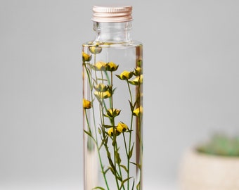 Floral desk decor, gift for plant lover, herbarium, herbarium bottle, natural home decor, dorm room decor, dried flower arrangement, flax