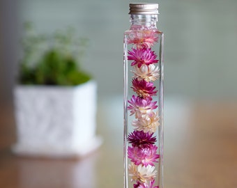 Herbarium, Herbarium bottle, Valentines Day, flower bottle, home office decor, Mothers Day, Unique gift, desk decoration, dried pink flowers