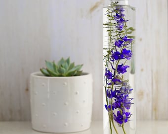 Flower herbarium bottle, herbarium, Mothers Day, Larkspur, flowers in glass, gift for plant lover, dried flower arrangement, purple