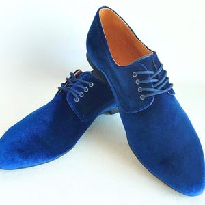 May include: A pair of blue velvet lace-up shoes with pointed toes.