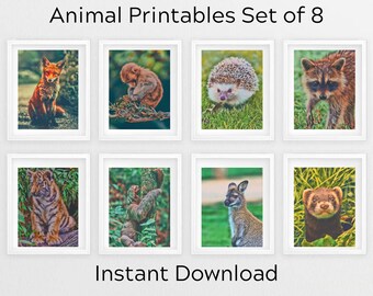 Nursery Decor Baby Animals Set of 8 | Fox | Raccoon | Tiger  Woodland Animal Prints | Safari Animals | Kids Printable Art  | Pronto Shop