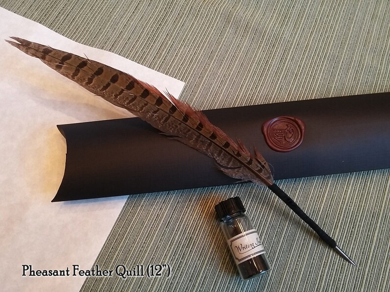 Feather Quill Pen metal Nib Gift Set Ink and Gift Box Etsy