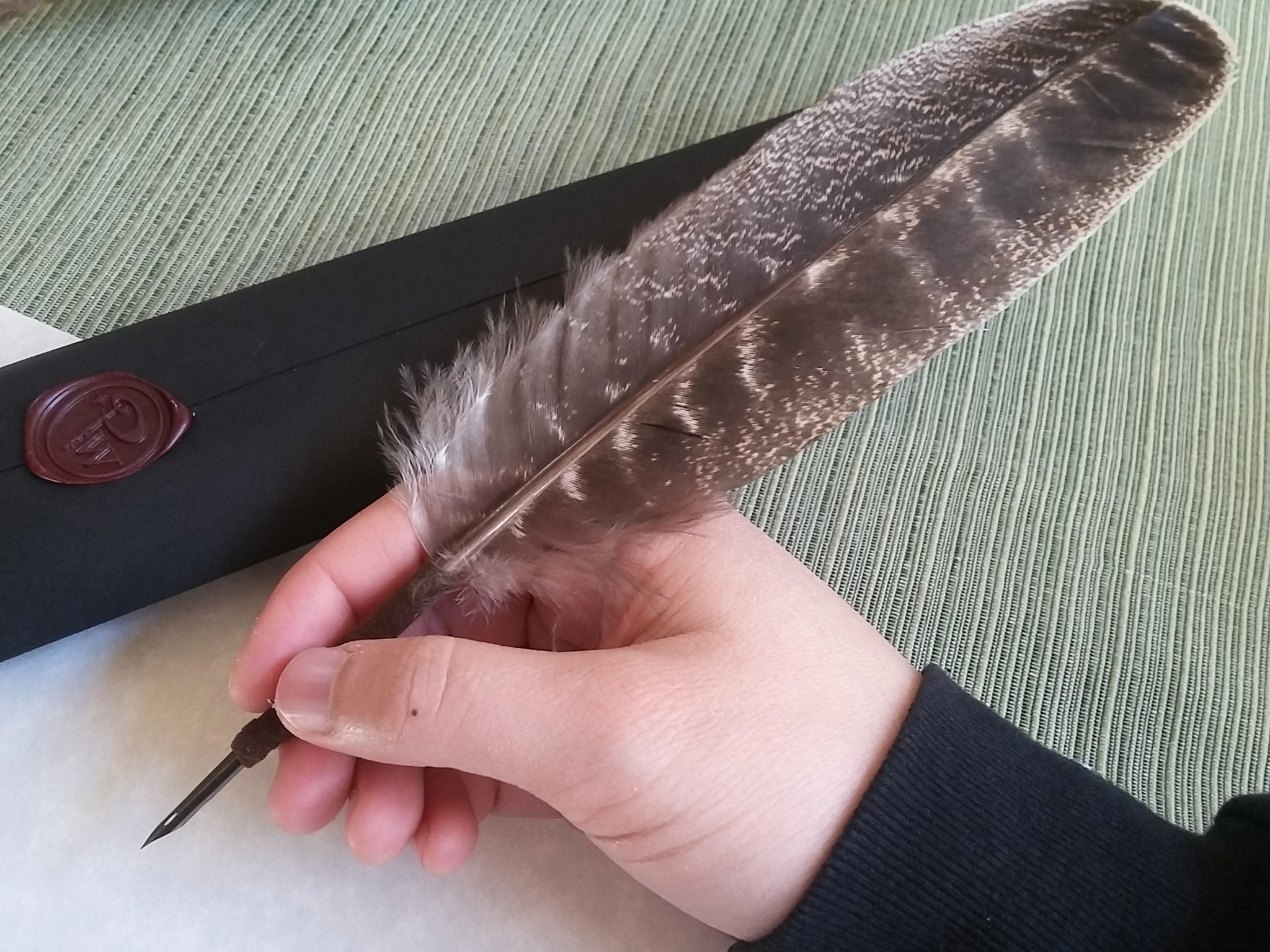 Pen hotsell with feather