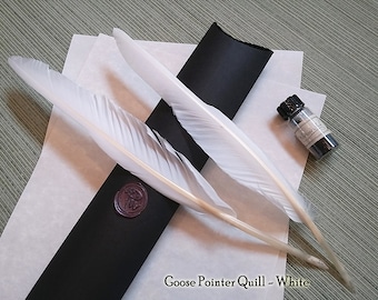 Juego de regalo de pluma de ganso cortada a mano: ¡tinta y caja de regalo incluidas!