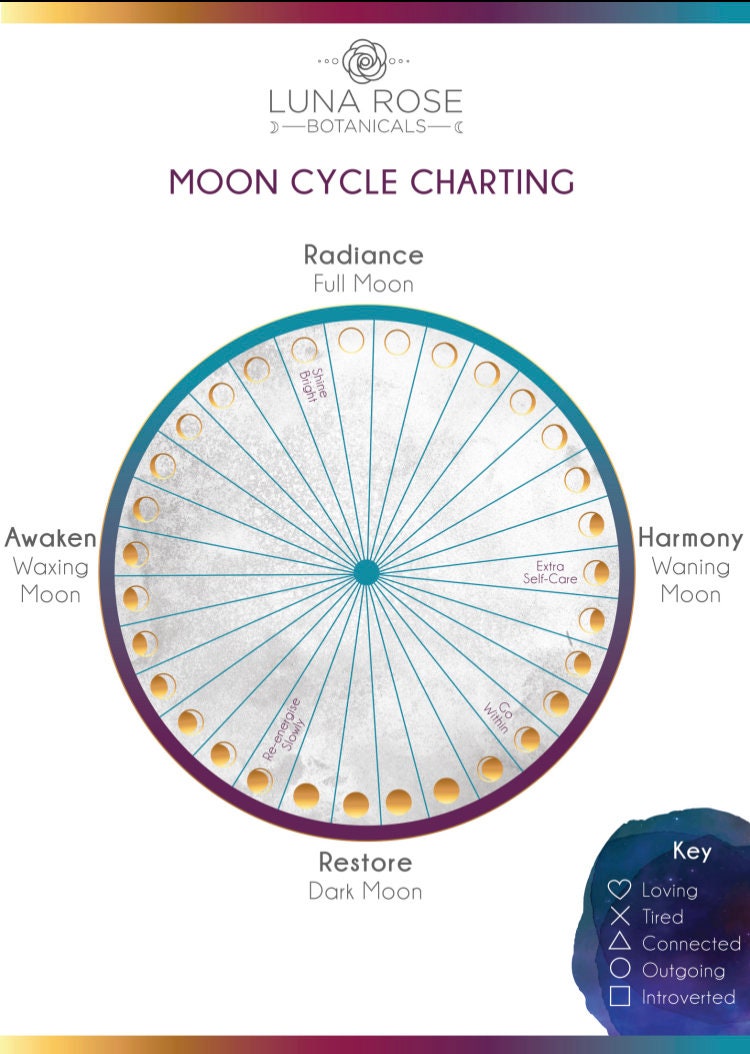 Menstrual and Moon Phase Cycle Charting Printable Chart Etsy