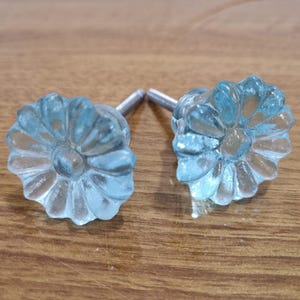 Può includere: Due pomelli per armadi in vetro blu chiaro con un design a fiore. I pomelli hanno uno stelo in metallo argentato.