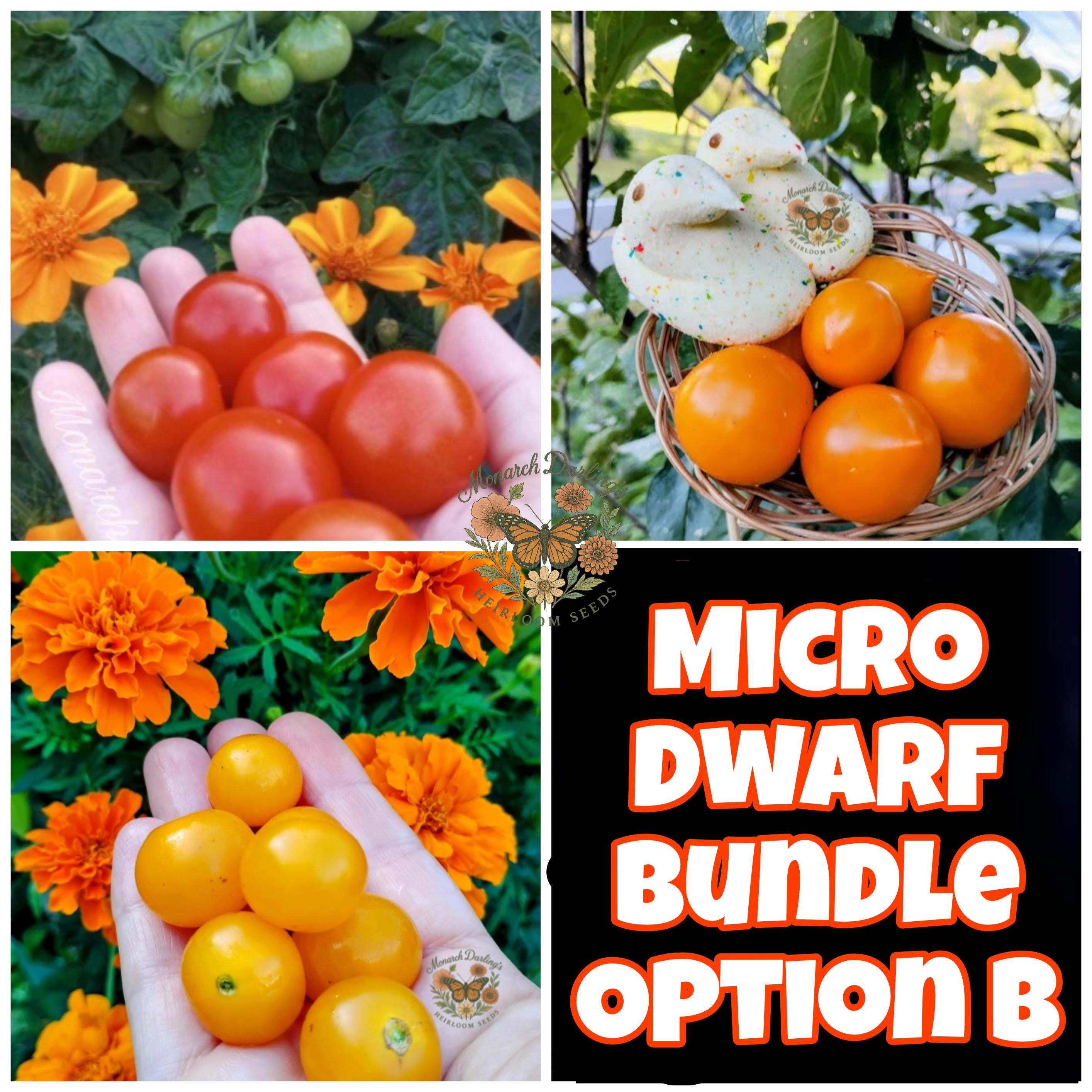 Micro Dwarf Tomato Seeds Bundle, Indoor Tomato Seeds, Container