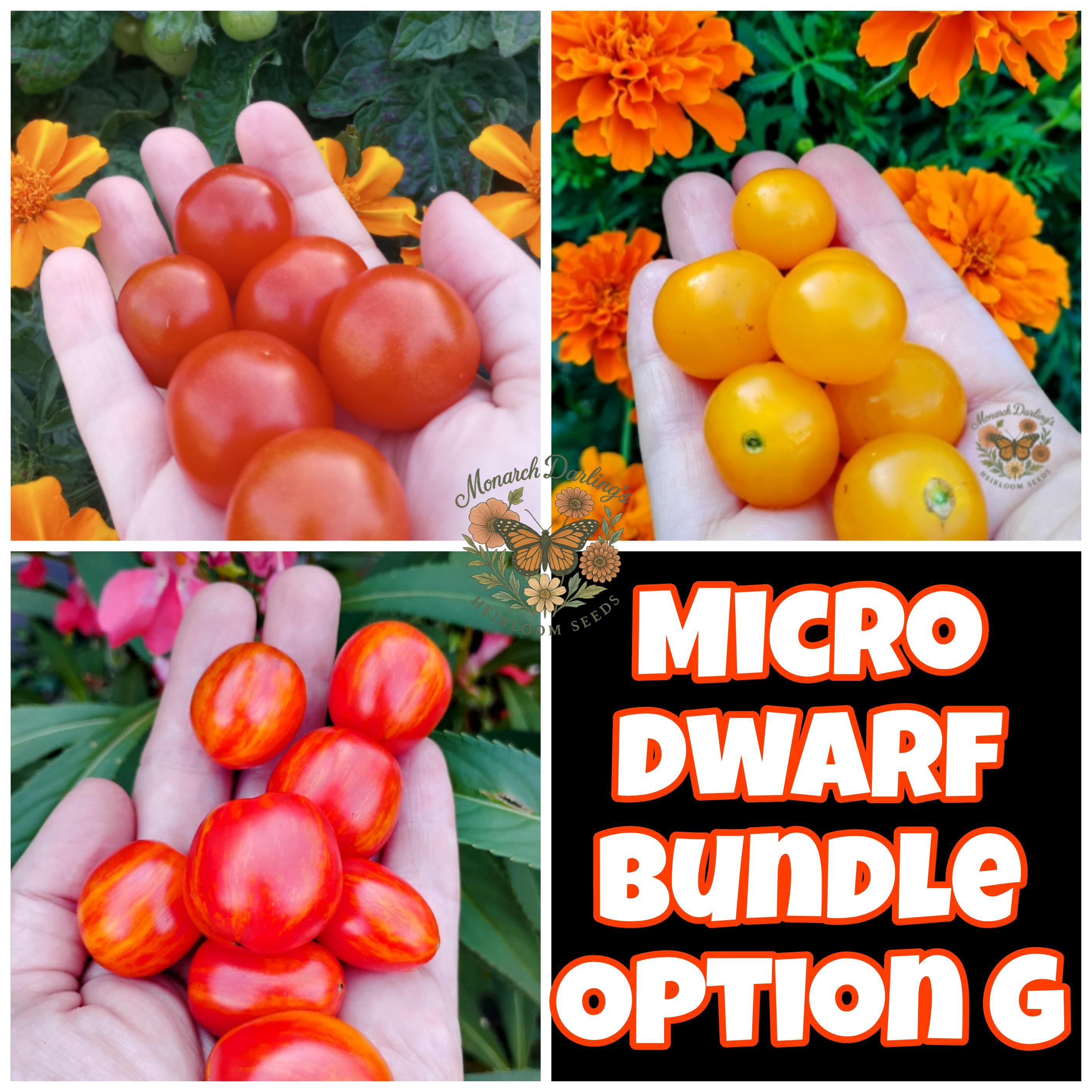 Micro Dwarf Tomato Seeds Bundle, Indoor Tomato Seeds, Container