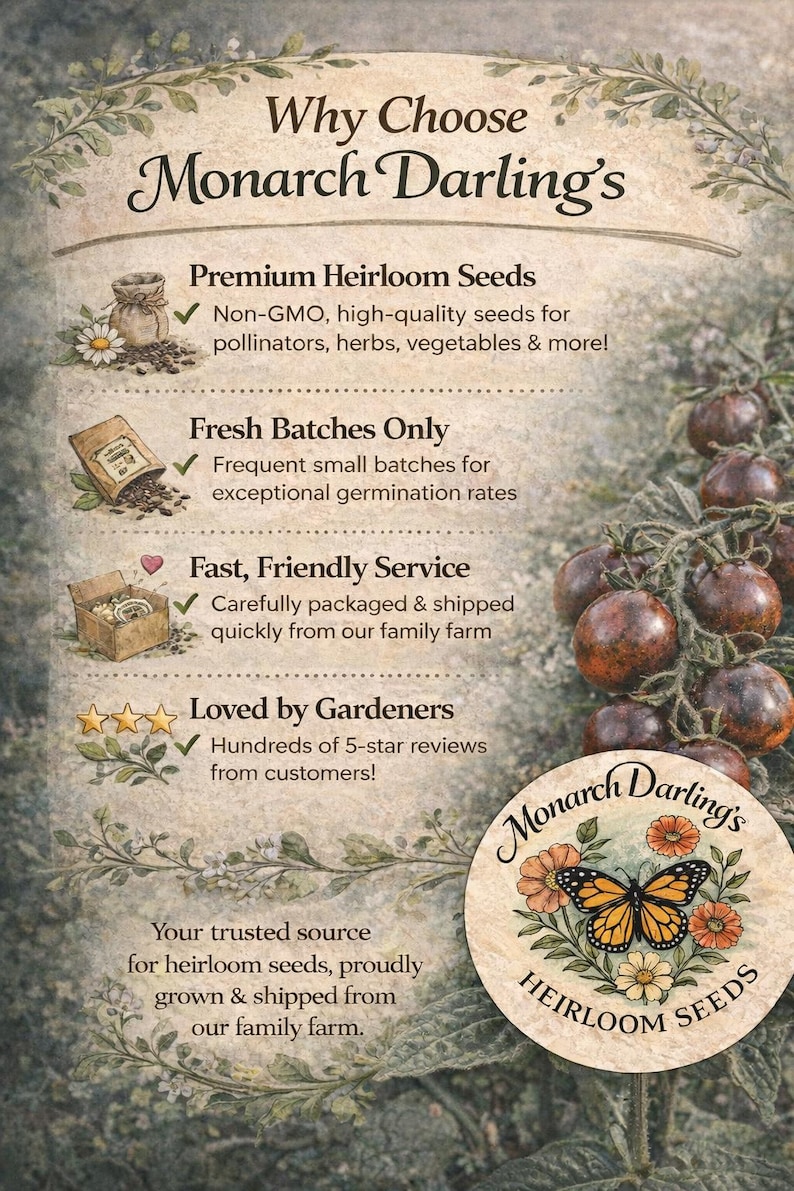 May include: An advertisement for Monarch Darling's heirloom seeds. The image features text highlighting premium seeds, fresh batches, and fast service. A logo with a butterfly and flowers is also present.