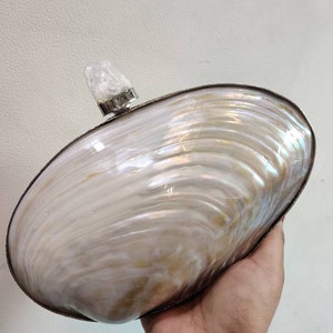 Scallop Shells For Crafts Large Sea Shells For Decorating - Temu United  Arab Emirates